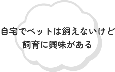 自宅でペットは飼えないけど飼育に興味がある